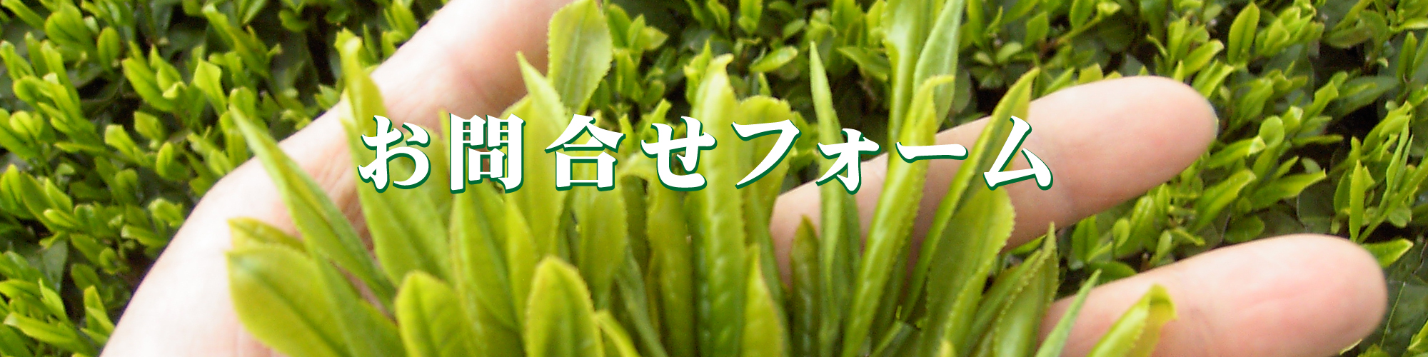 やぶち園 お問合せフォーム